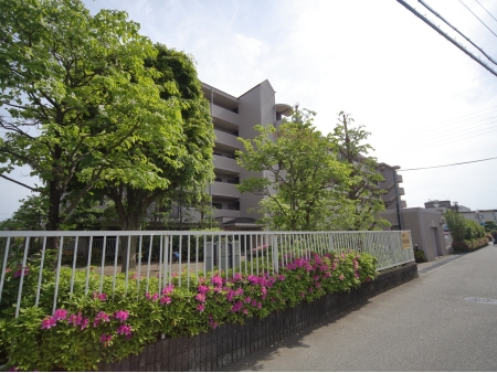 東急ドエルアルス大和