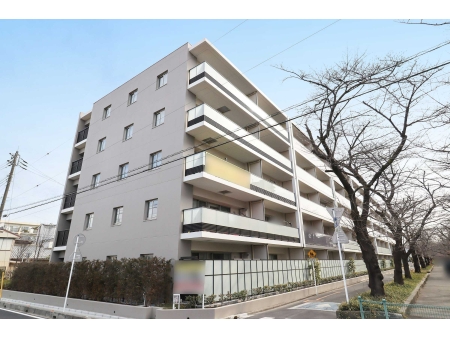 ヴィークコート蕨南町桜並木