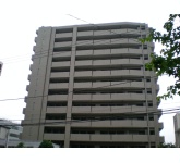 コスモハイセレサ川口本町