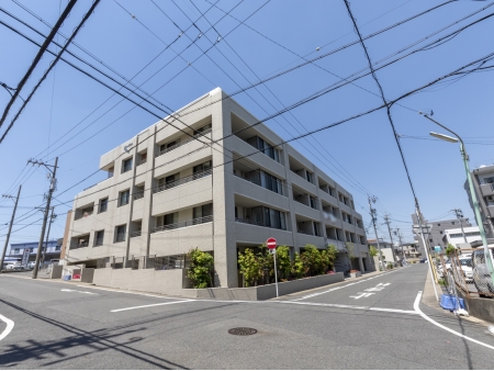 モアグレース社台フィエルテ