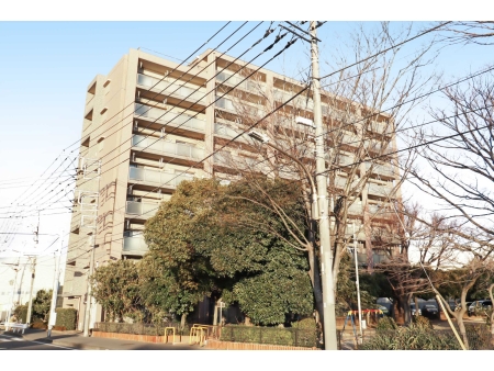ペルル谷津干潟