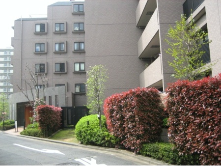 コスモ千鳥町ロイヤルフォルム