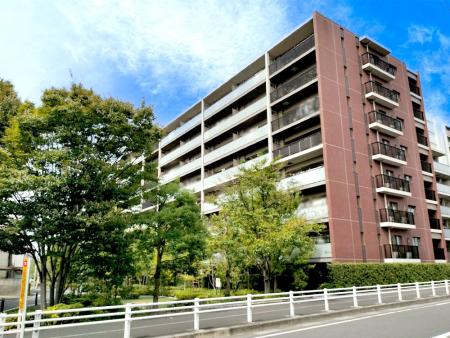 ソライエ葛飾小菅