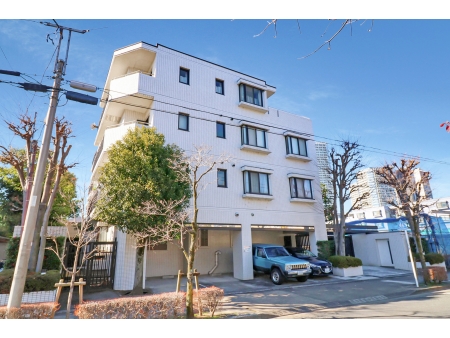 東急ドエルアルス上野毛アネックス