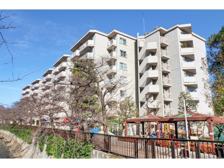 東急ドエルアルス石川台