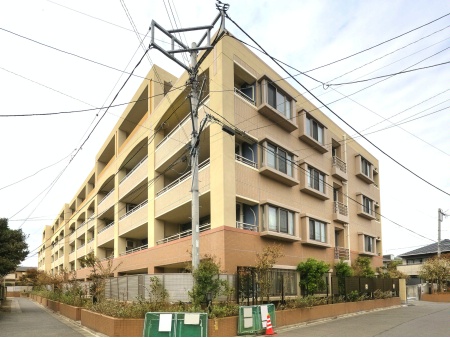 プラハ鎌倉材木座