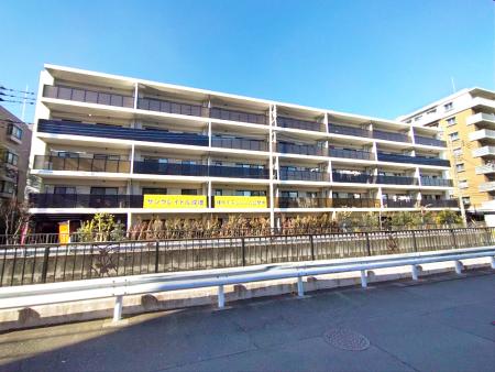 サンクレイドル成増