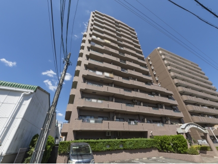 マルベリー原