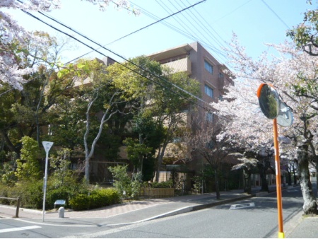 ブリリア箕面さくら並木通り