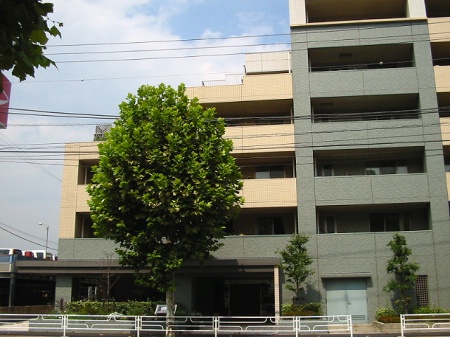 ライオンズステージ横浜元町
