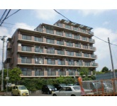 グリーンビレッジひばりが丘