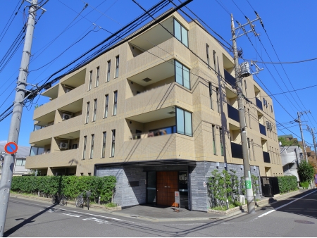 アデニウム氷川台