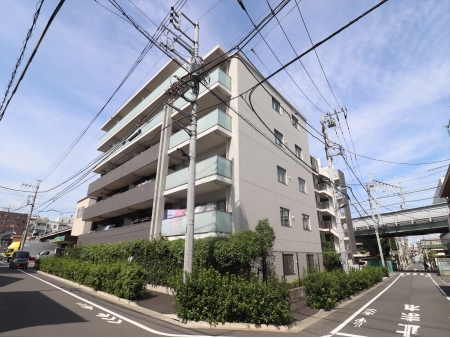 アデニウム志村ブルームフォート