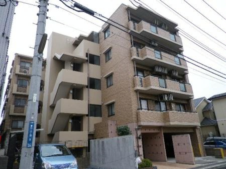 セザール等々力緑地