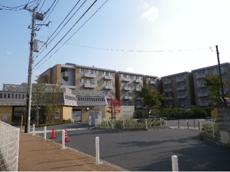 ダイアパレス等々力緑地
