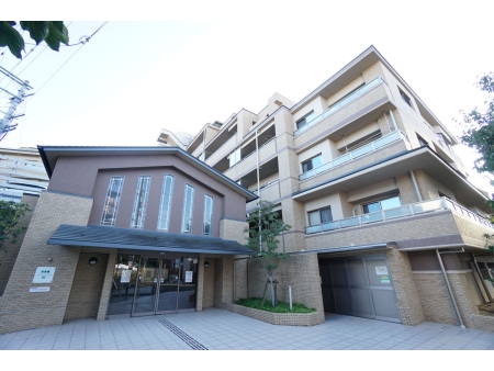 ネバーランド鴨川