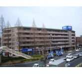 東急ドエルアルス大倉山東