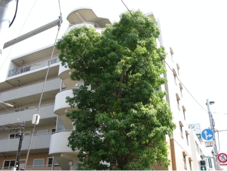 立川パークホームズ
