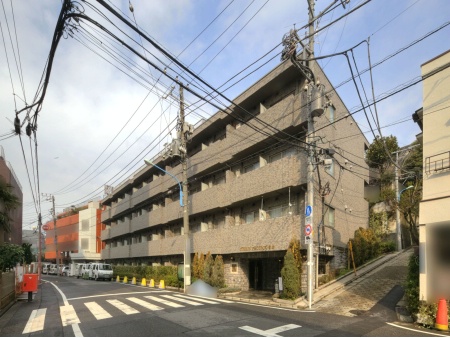 トーシンフェニックス目白