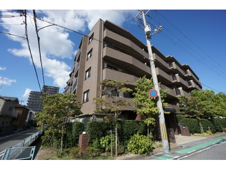 ステイツ上甲子園ゆりのき通り