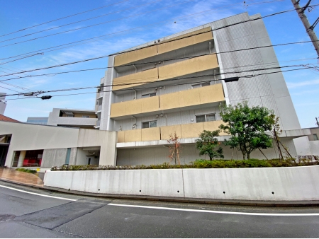 ラフィア東戸塚