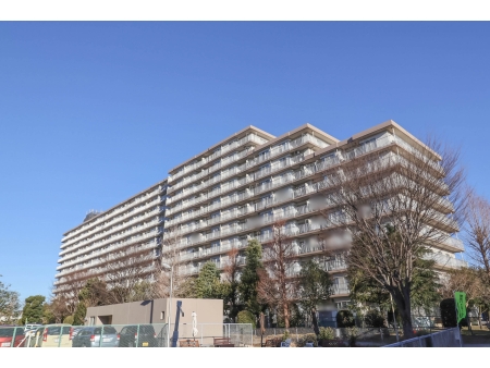 シティパラス柏