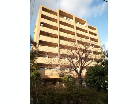 リブコート住吉川