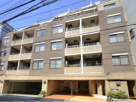 セーナ中野