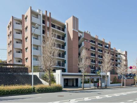 サンクタス市が尾