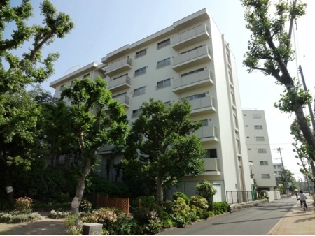 コープ甲子園