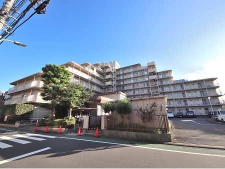 コープ野村東六郷
