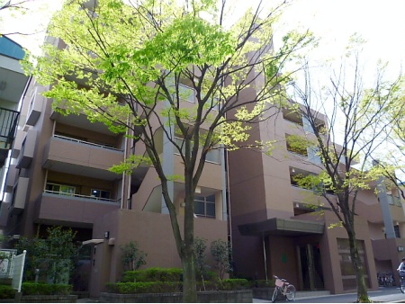 ヒルズ新松戸中央公園