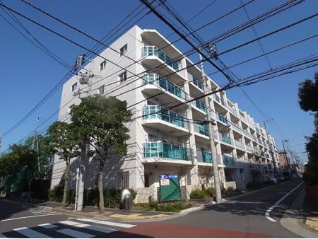 ウィルローズ一之江