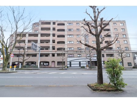ビューフォート修学院
