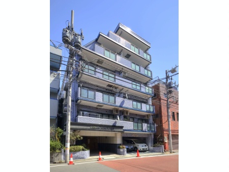セザール菊川