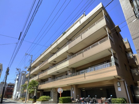 アーデル墨田文花