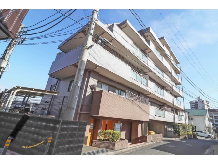ミオカステーロ十日市場ステッサ