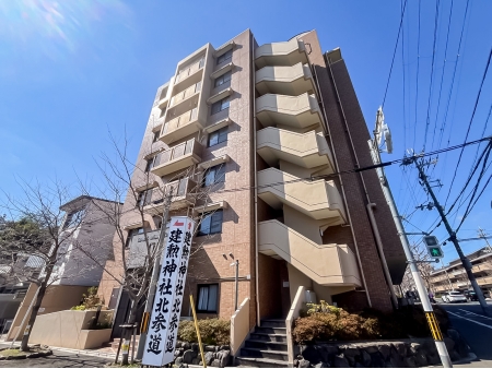 グローバル紫野