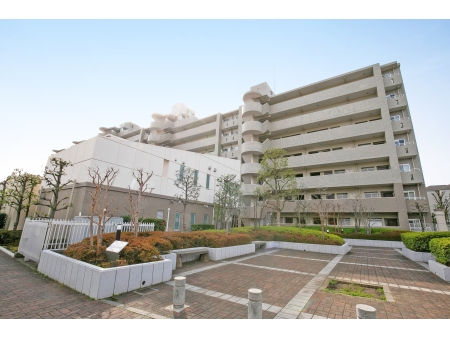 綱島ハイム