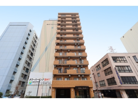 ダイアパレス川崎元木町