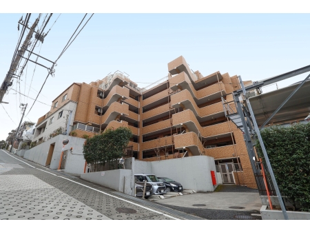 ランドシティ鷺沼サレジオ通り