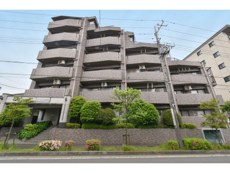 ライオンズガーデン相模大野