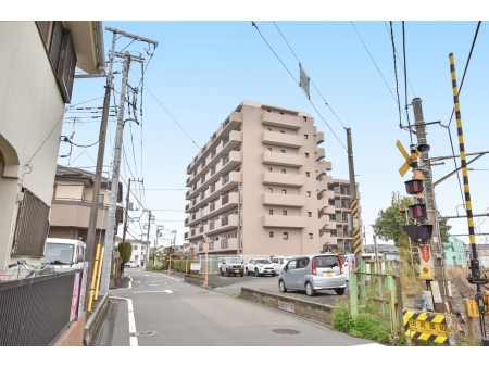 メイツ橋本