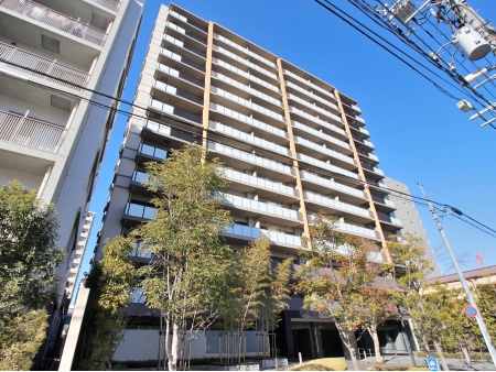 アデニウム新小岩