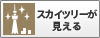 スカイツリーが見える