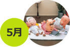 5月