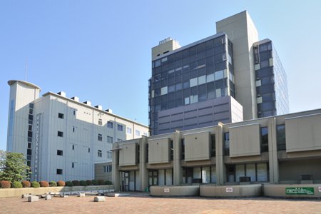 年末 調整 車 の 保険