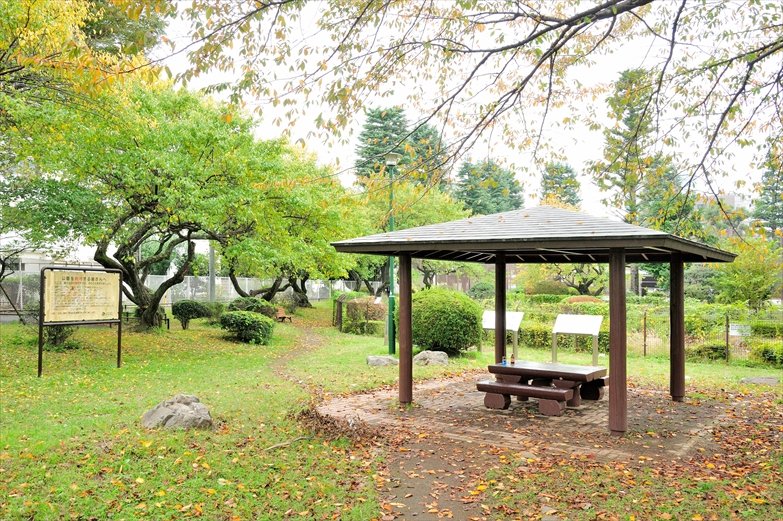 府中 調布 地域 街情報サイト 街から ノムコム 府中 調布 地域 街情報サイト 街から ノムコム