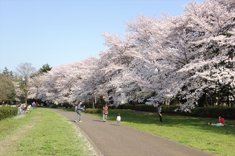 野川公園