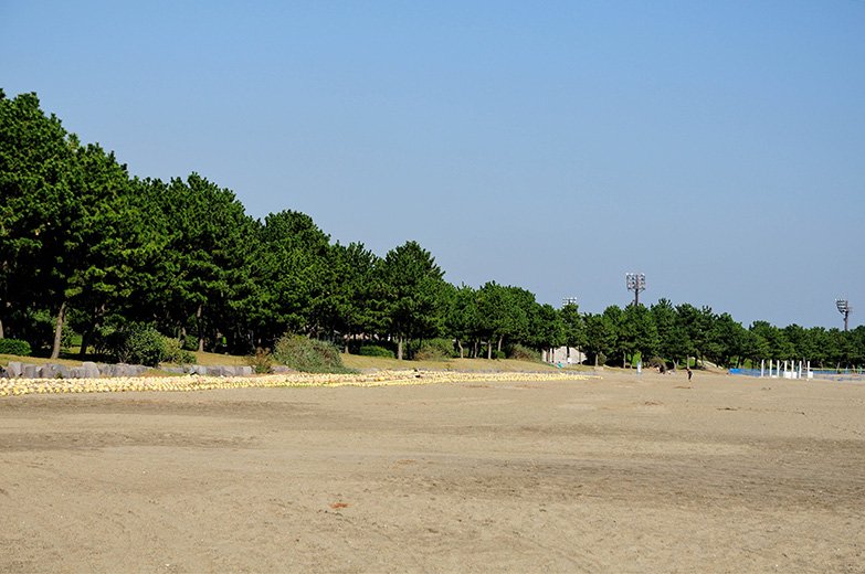 海の公園